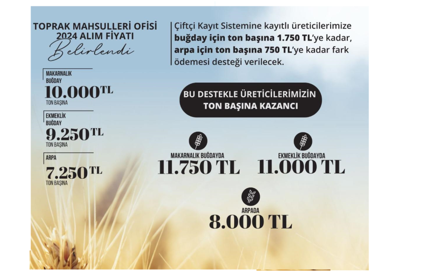 TMO ALIM FİYATLARI BELİRLENDİ