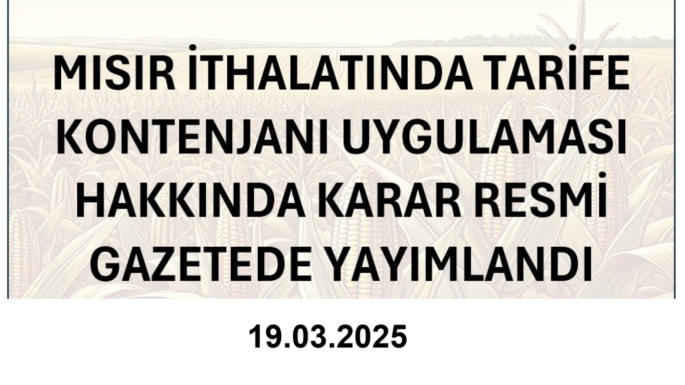 MISIR İTHALATI KOTASI 19.03.2025