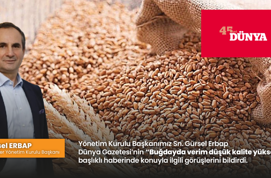 Yönetim Kurulu Başkanımız Sn. Gürsel Erbap Dünya Gazetesi’nin “Buğdayda verim düşük kalite yüksek” başlıklı haberinde konuyla ilgili görüşlerini bildirdi.